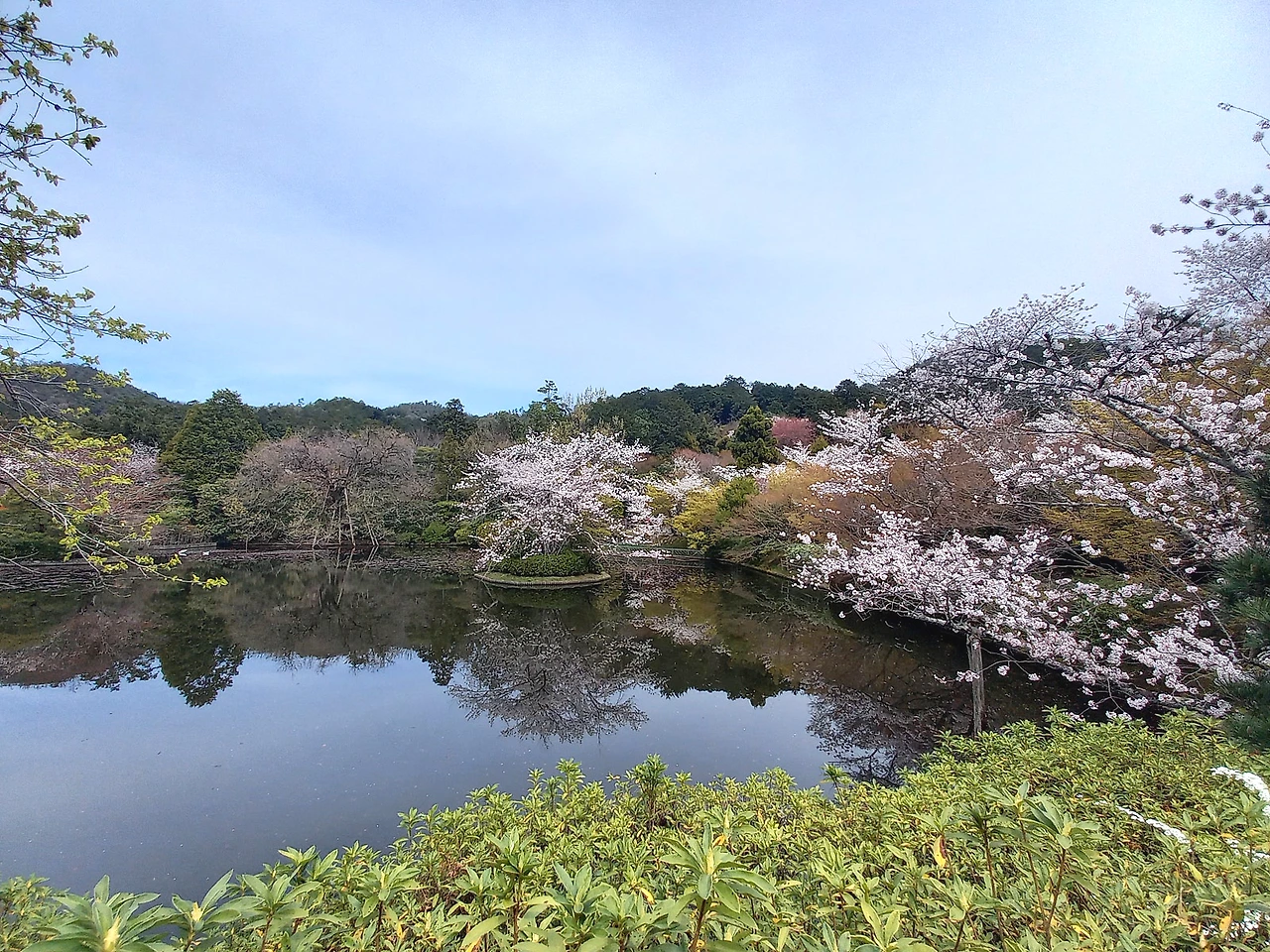 20230331_112318.jpg?type=w1600