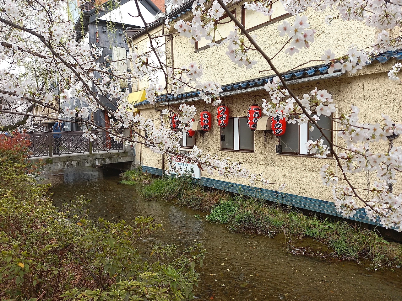 20230324_103404.jpg?type=w1600