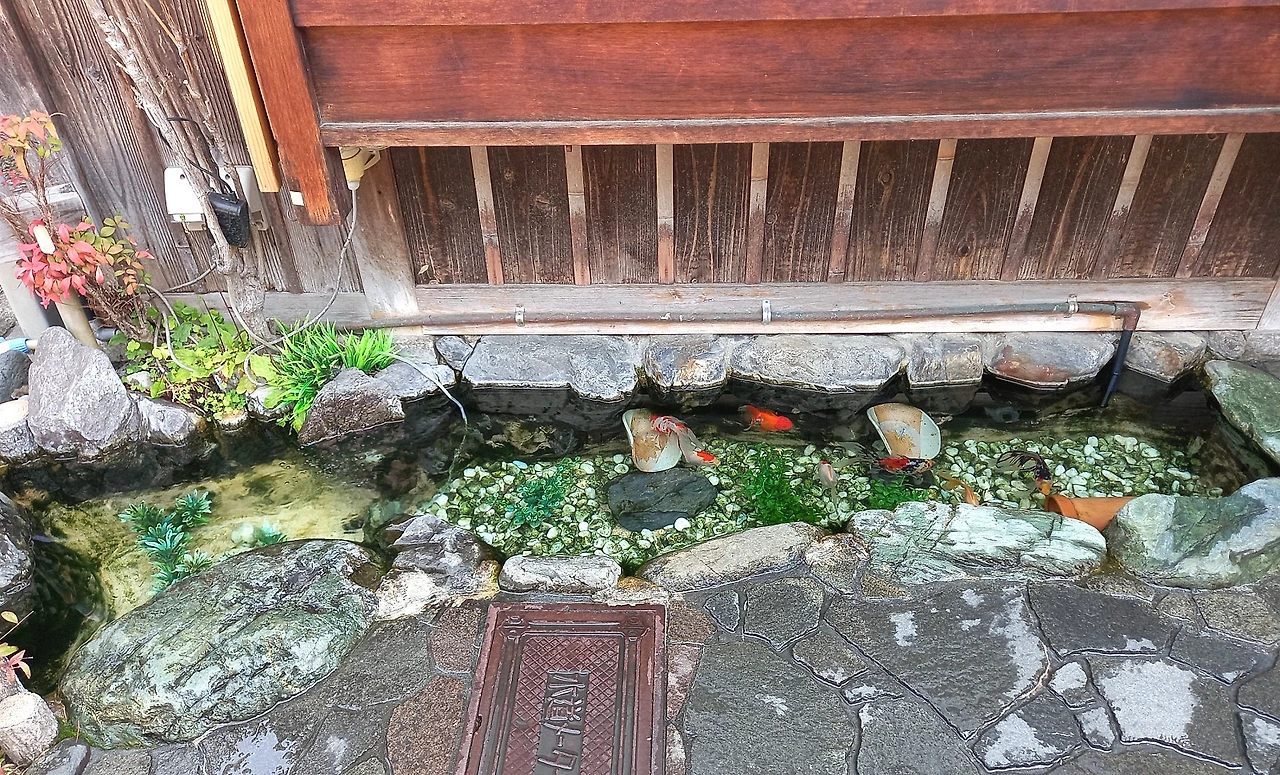 SE-03d03300-d1be-40cb-b082-7c1349388f92.jpg?type=w1600