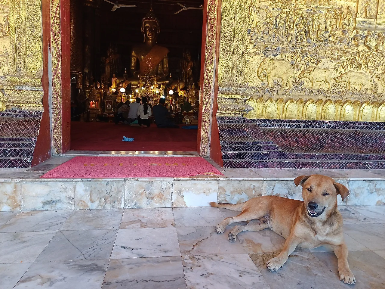 20241224_111423.jpg?type=w1600