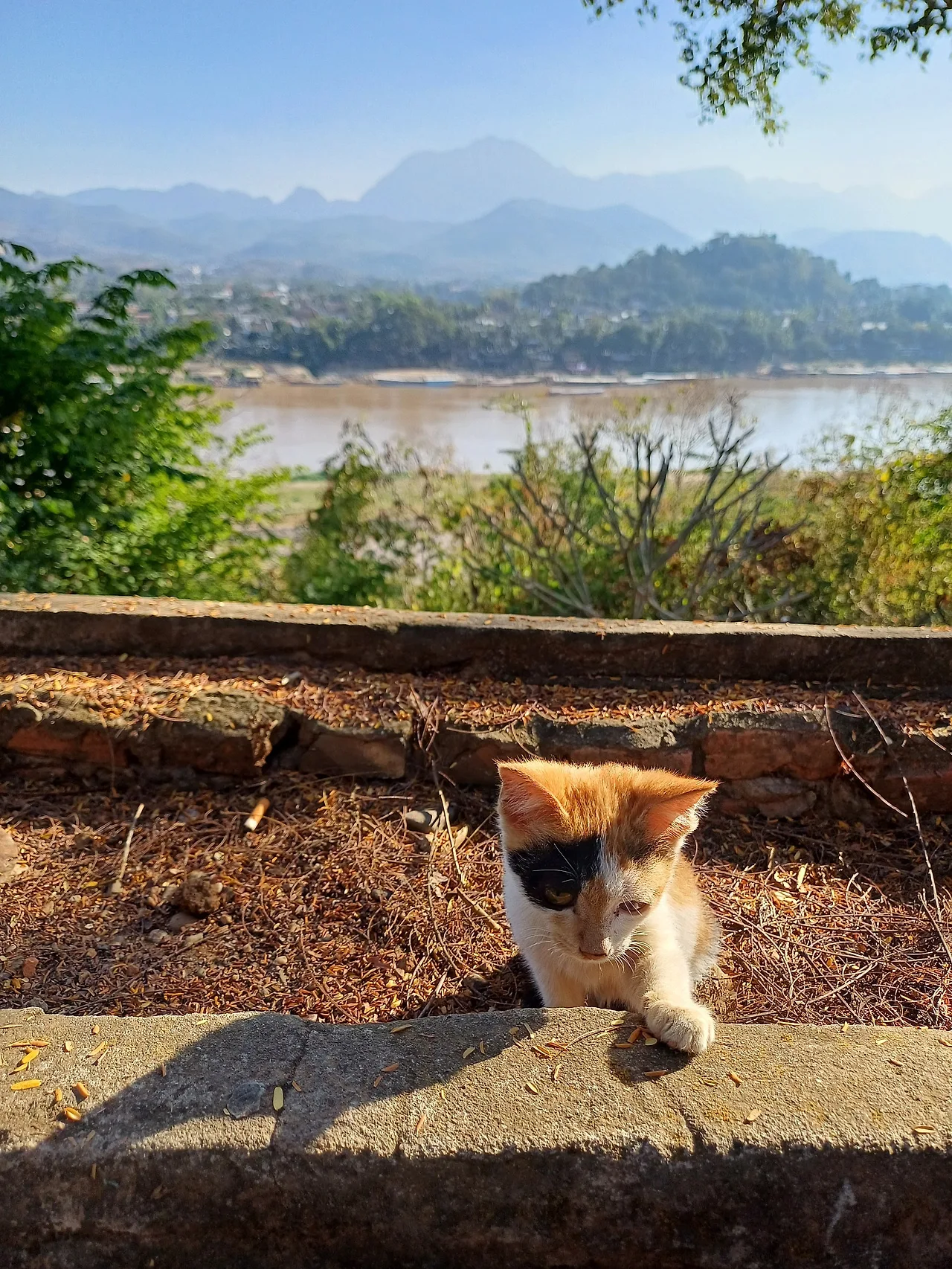 20241226_151806.jpg?type=w1600