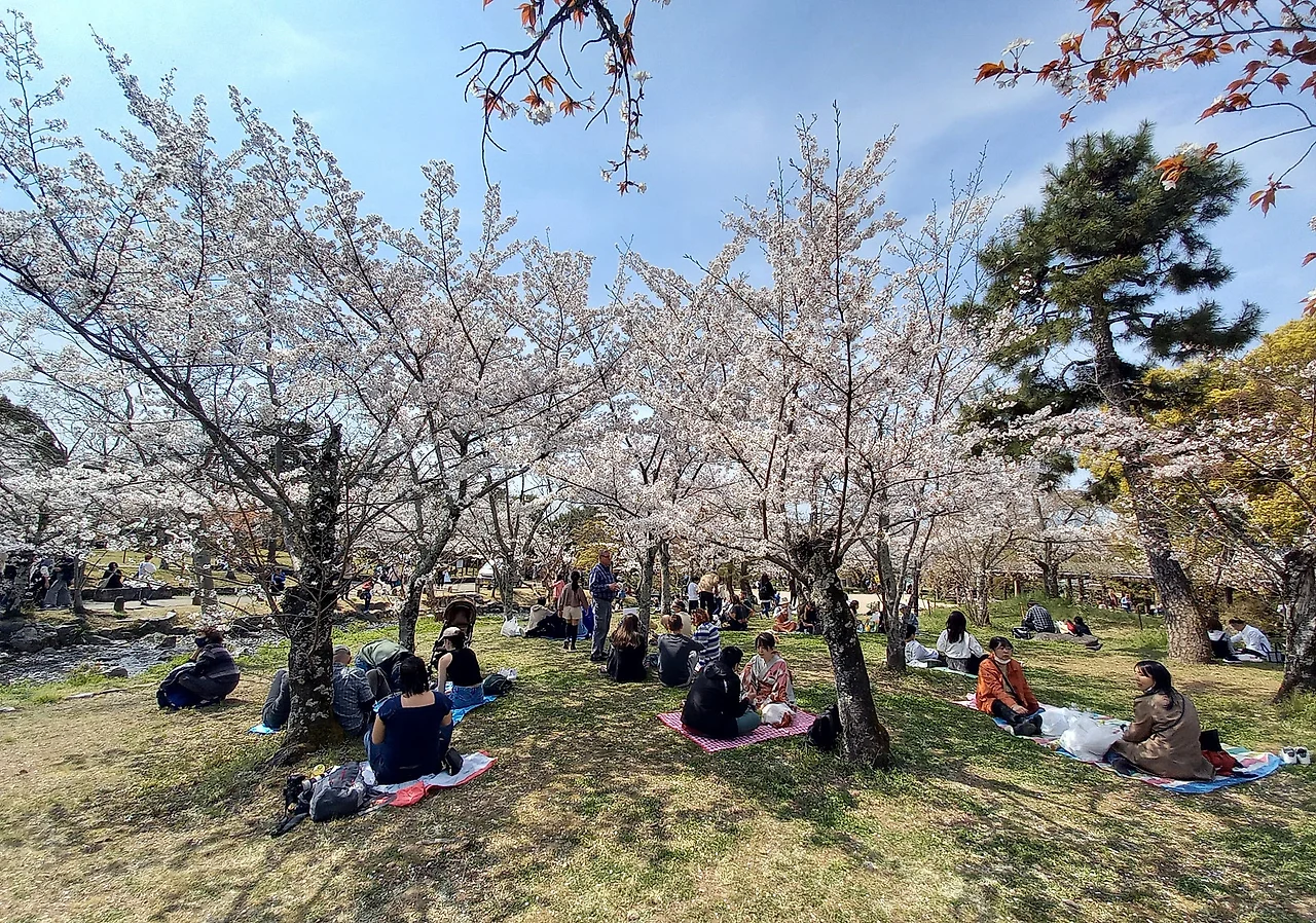 20230330_125651.jpg?type=w1600