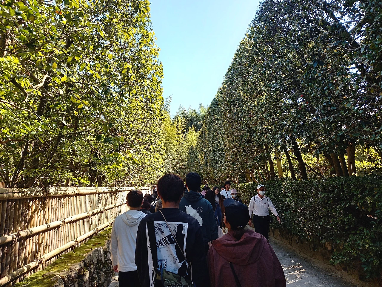 20230328_141309.jpg?type=w1600