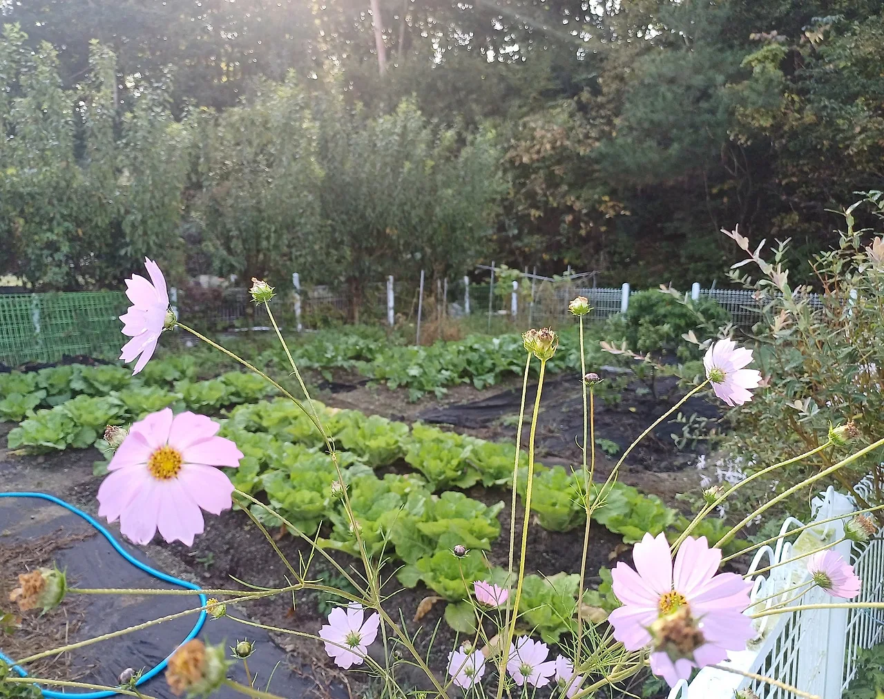 20231017_090545.jpg?type=w1600