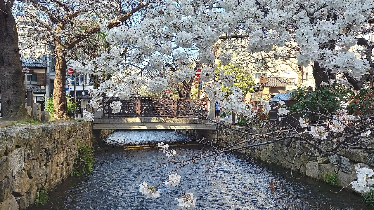 SE-ea075f81-b84f-407e-a1b3-13c684c03ecc.jpg?type=w1600