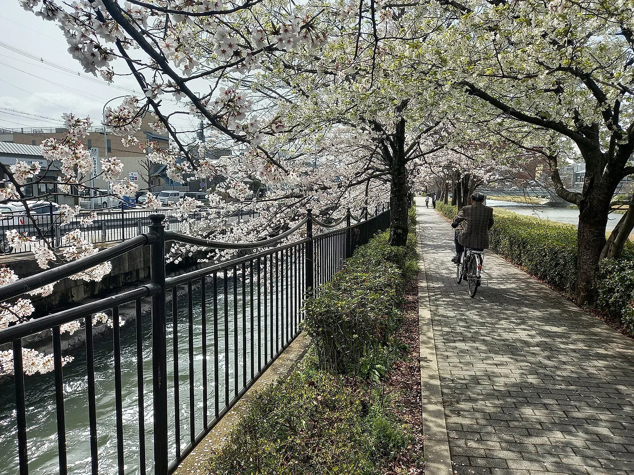 20230327_103121.jpg?type=w1600