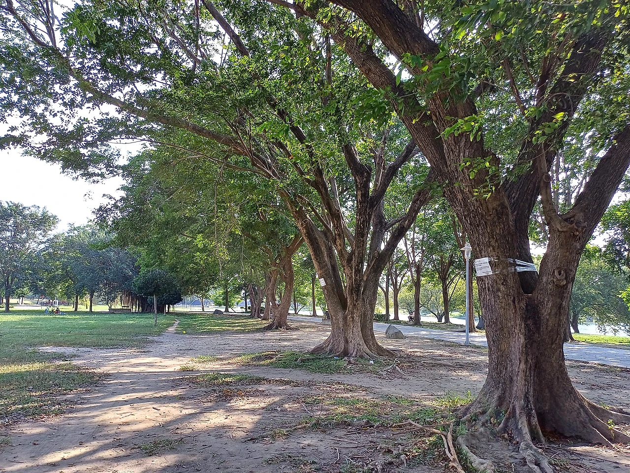 20231104_134610.jpg?type=w1600