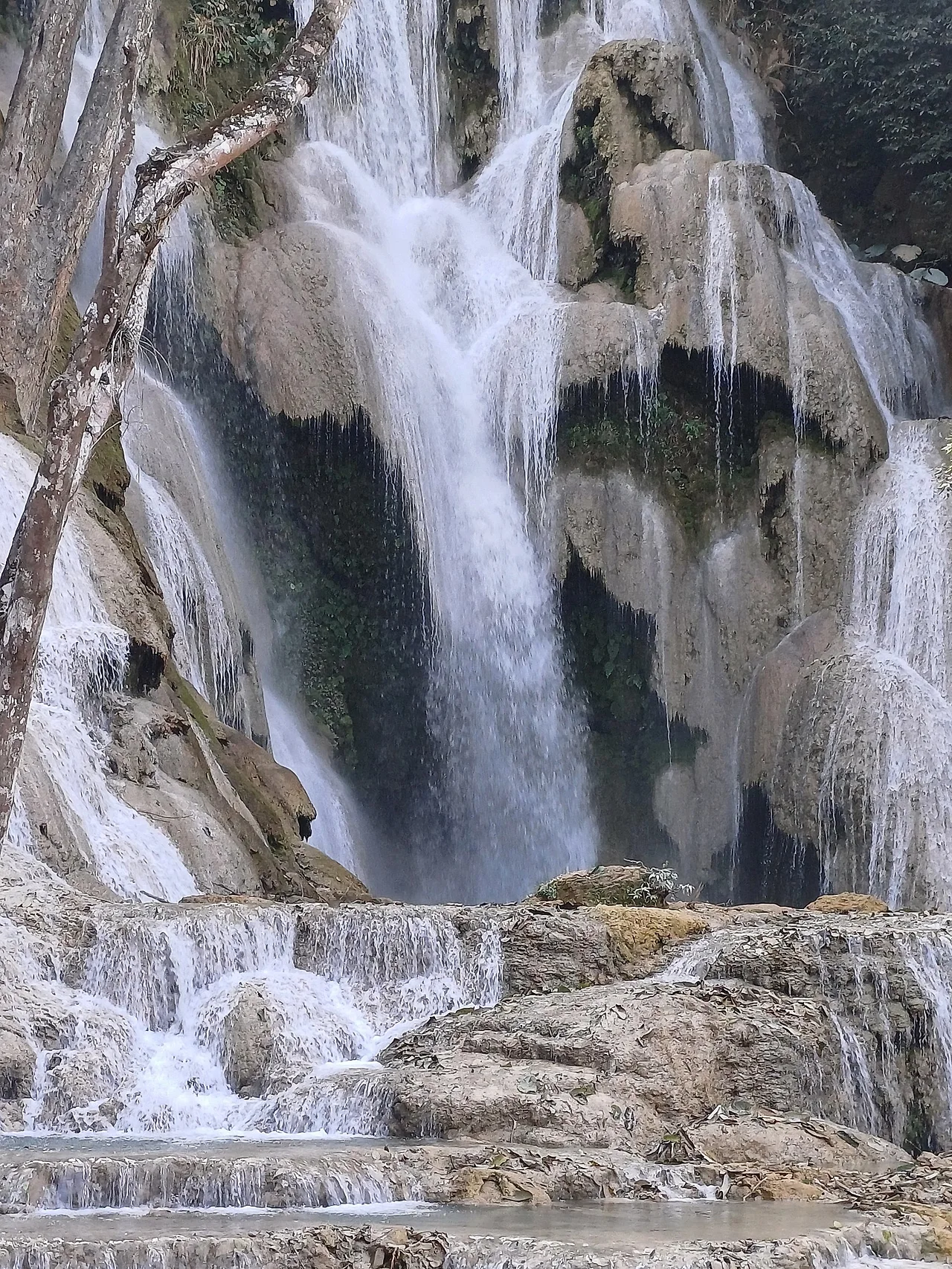 20250101_140845.jpg?type=w1600