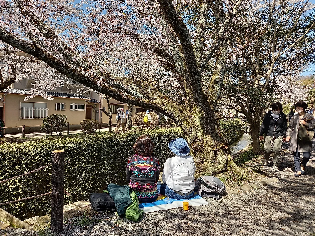 20230328_132847.jpg?type=w1600