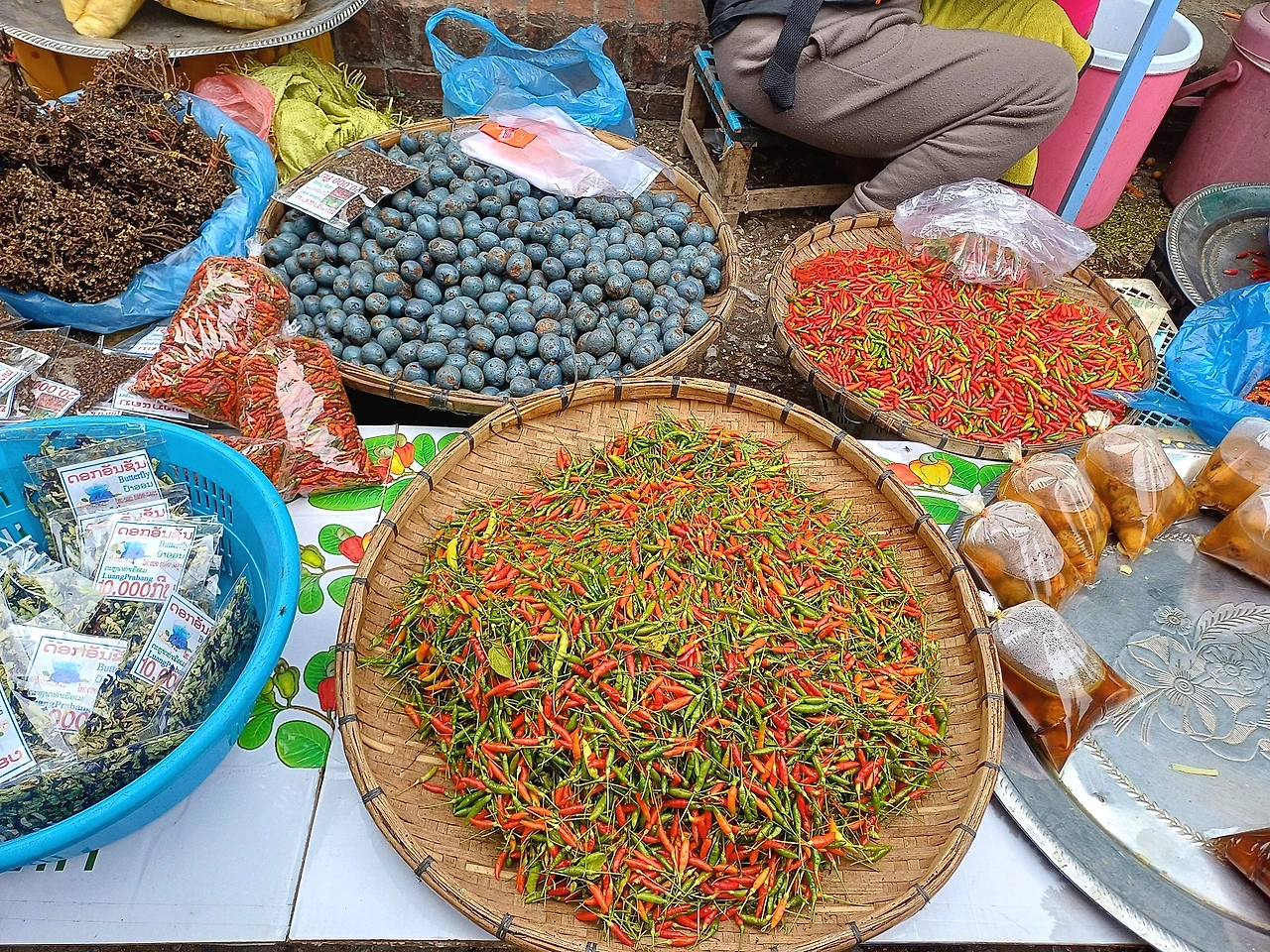 20241220_094615.jpg?type=w1600