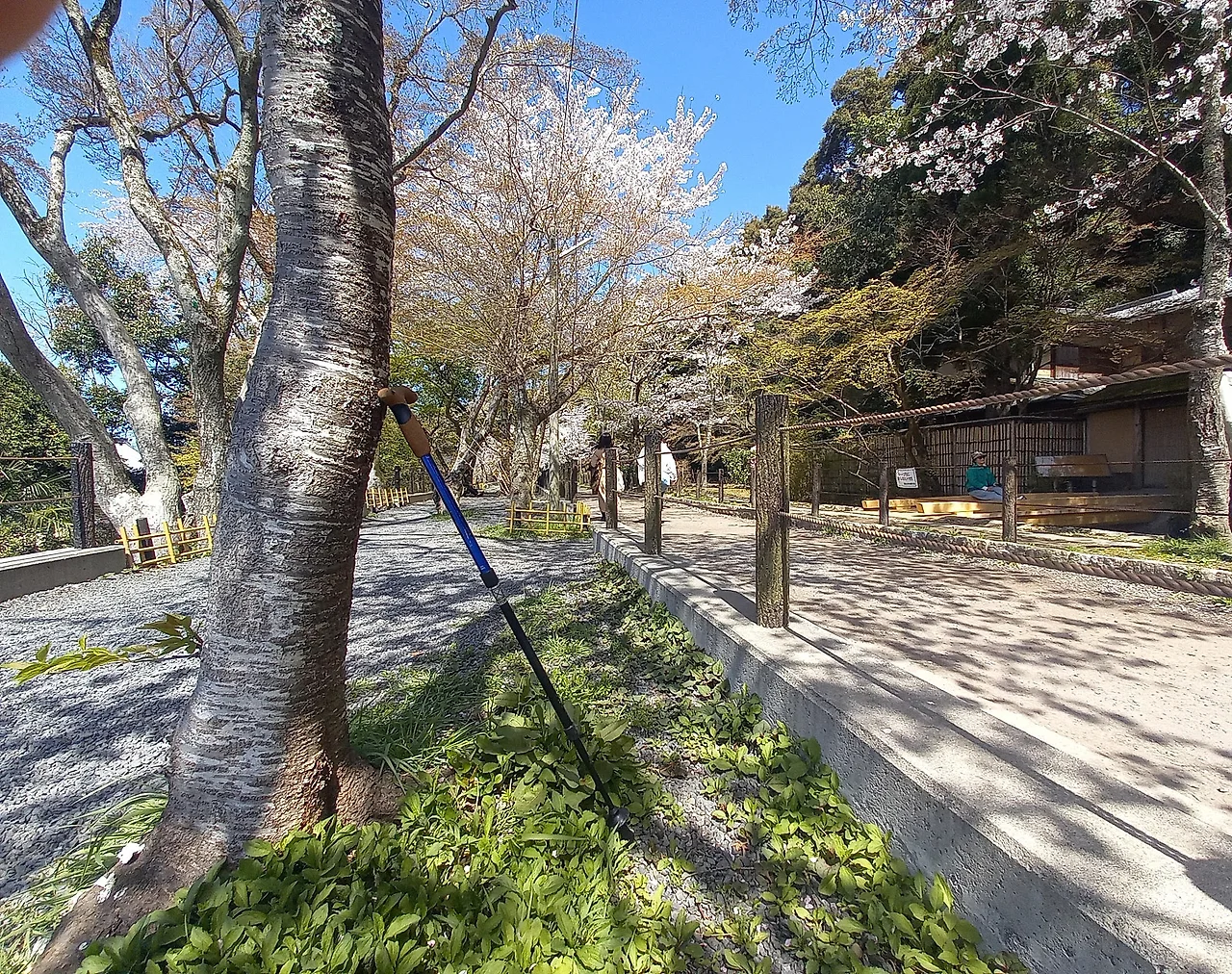 20230328_123116.jpg?type=w1600