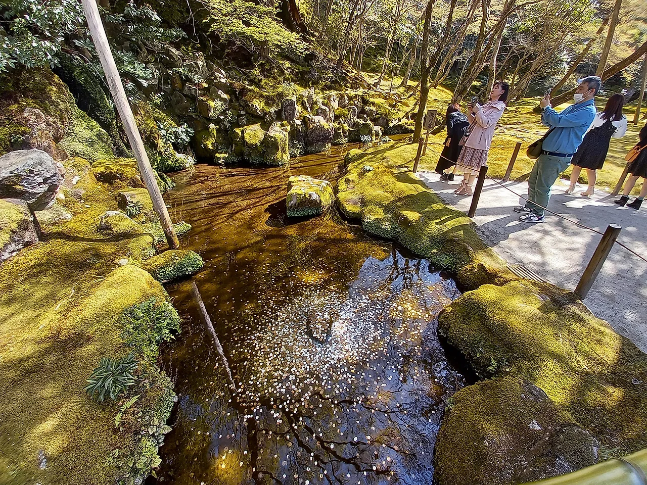 20230328_142245.jpg?type=w1600