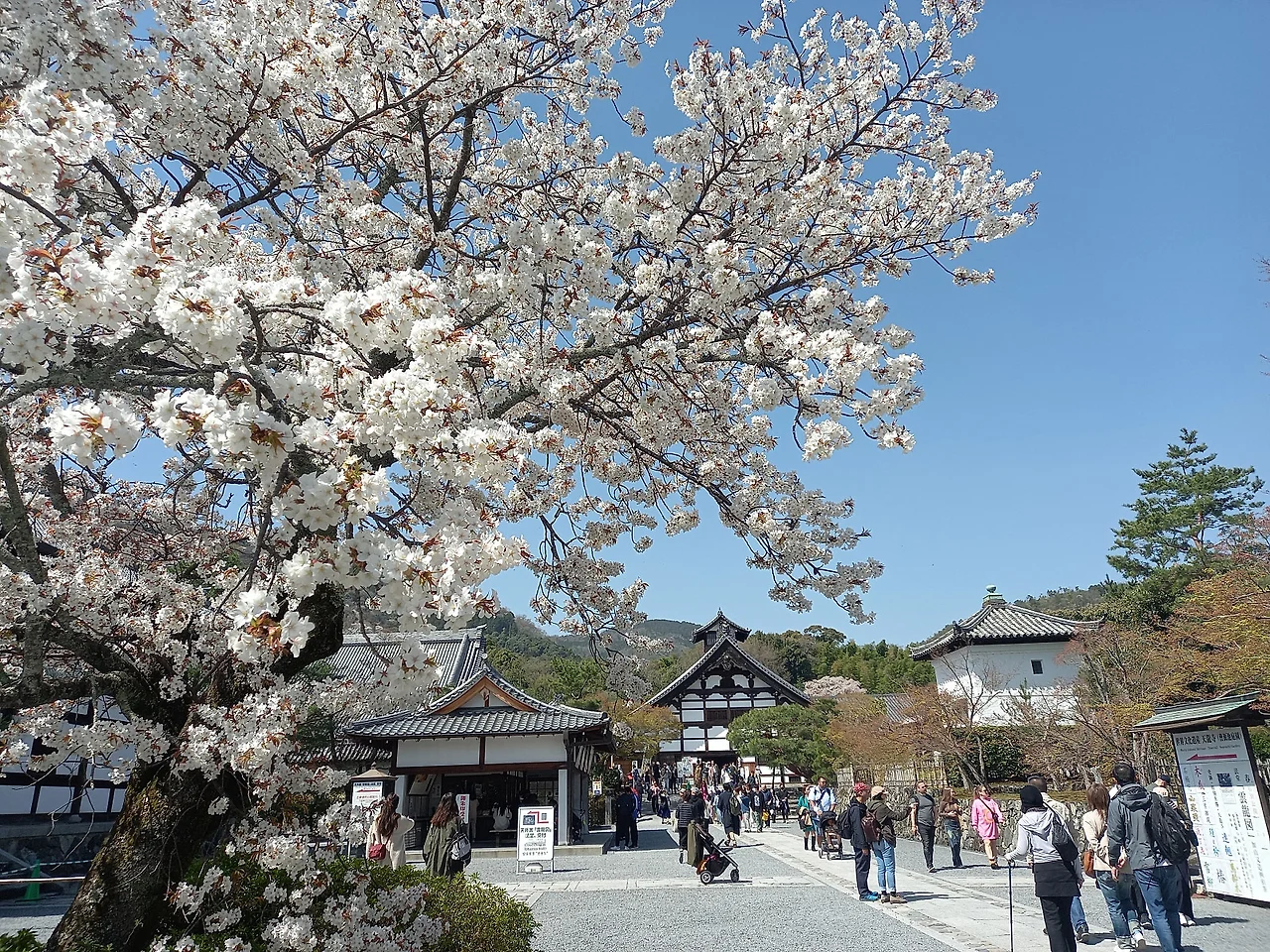 20230329_105039.jpg?type=w1600