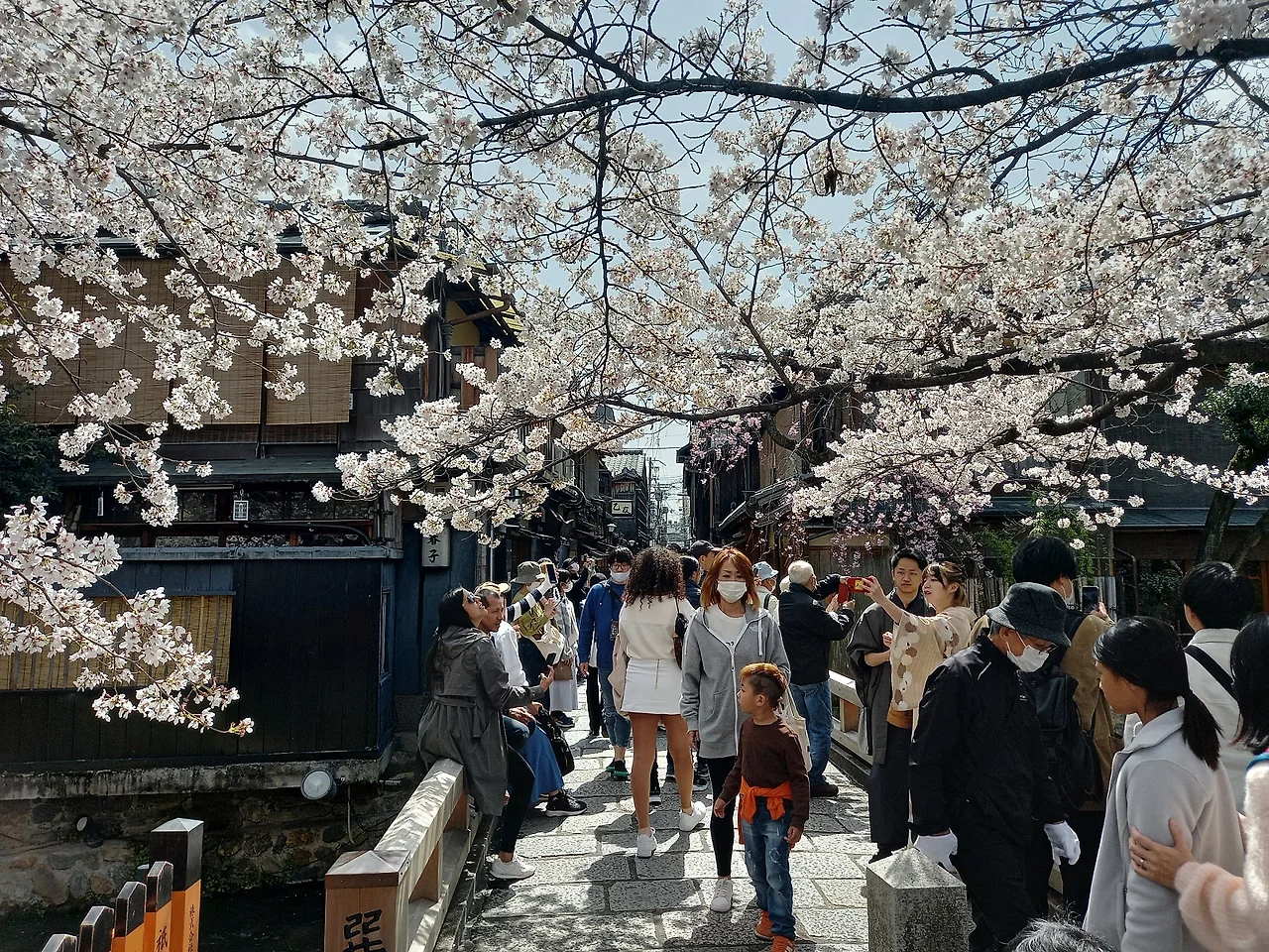 20230327_122651.jpg?type=w1600