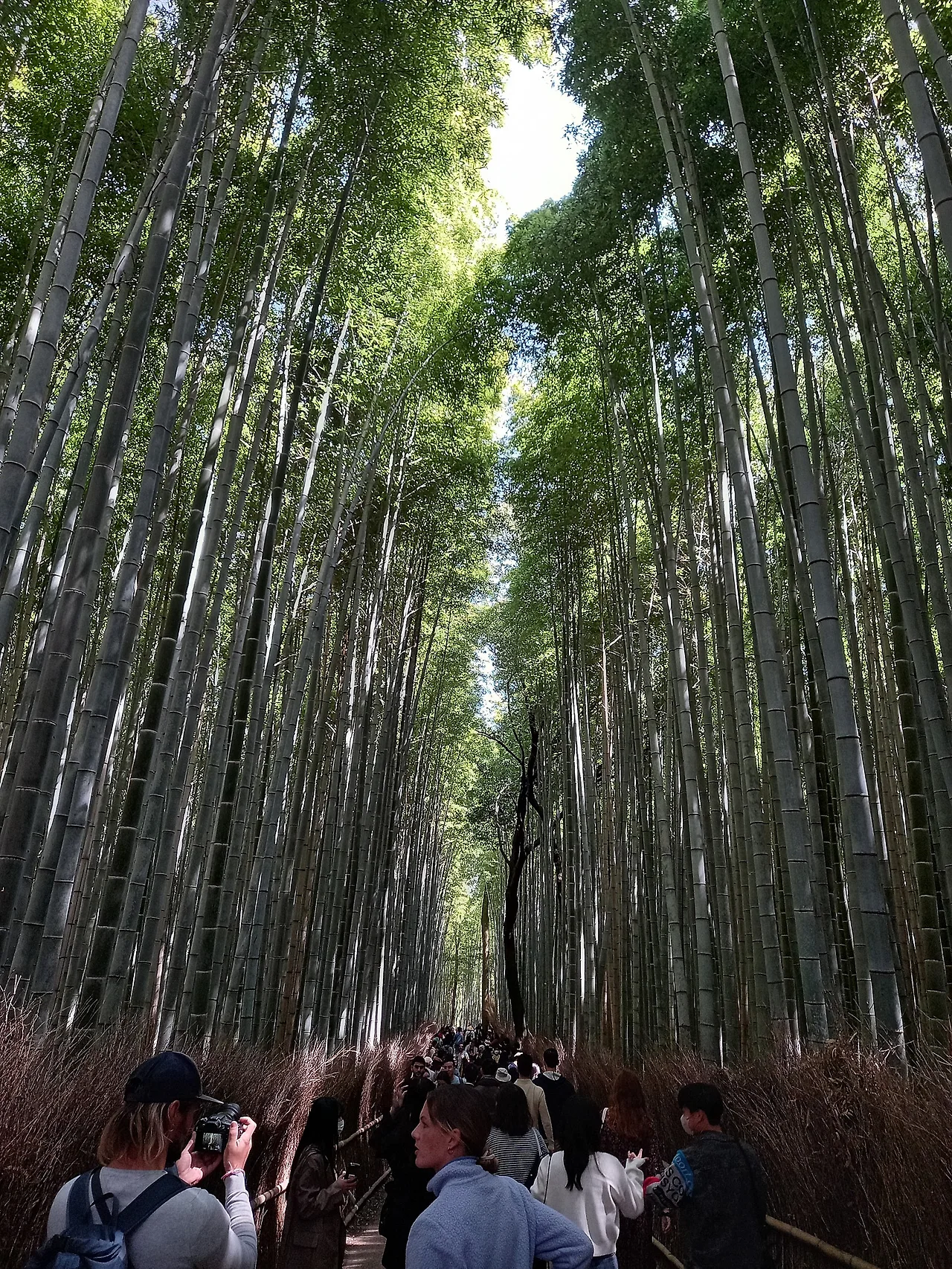 20230329_113419.jpg?type=w1600