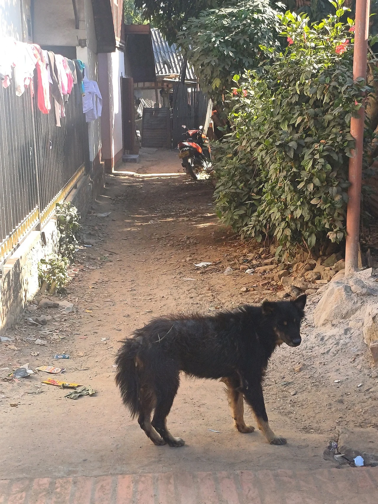 20241226_143342.jpg?type=w1600