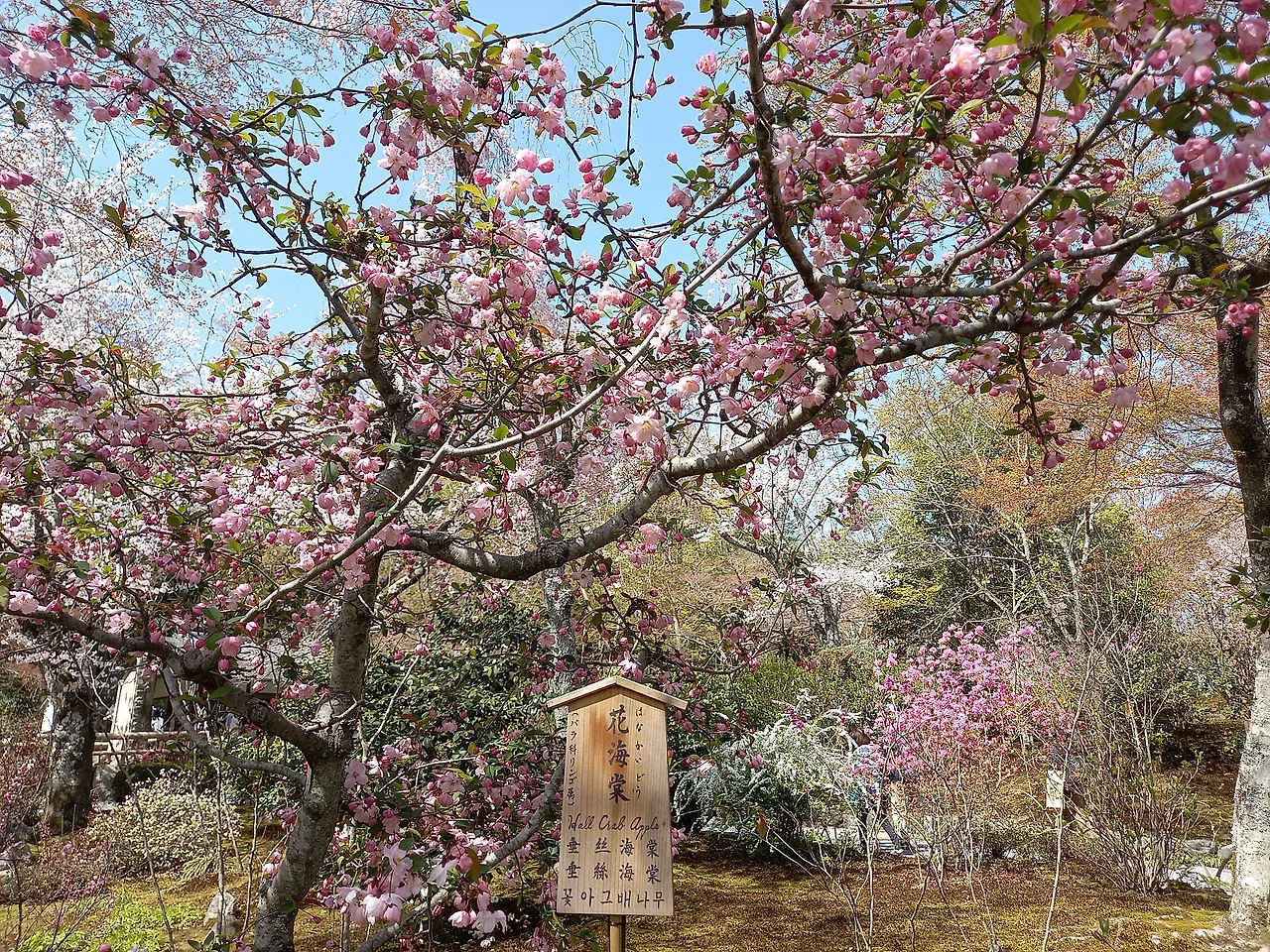 20230329_111526.jpg?type=w1600