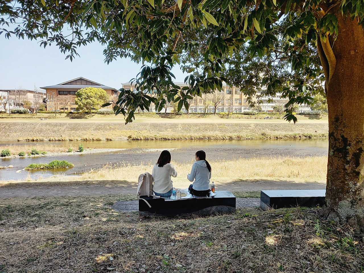 20230320_130816.jpg?type=w1600