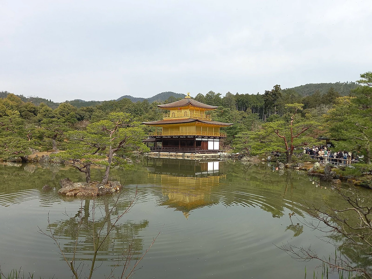 20230331_093016.jpg?type=w1600