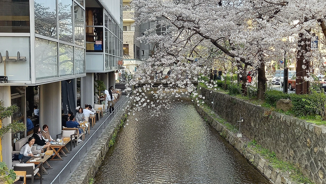 20230330_141647.jpg?type=w1600