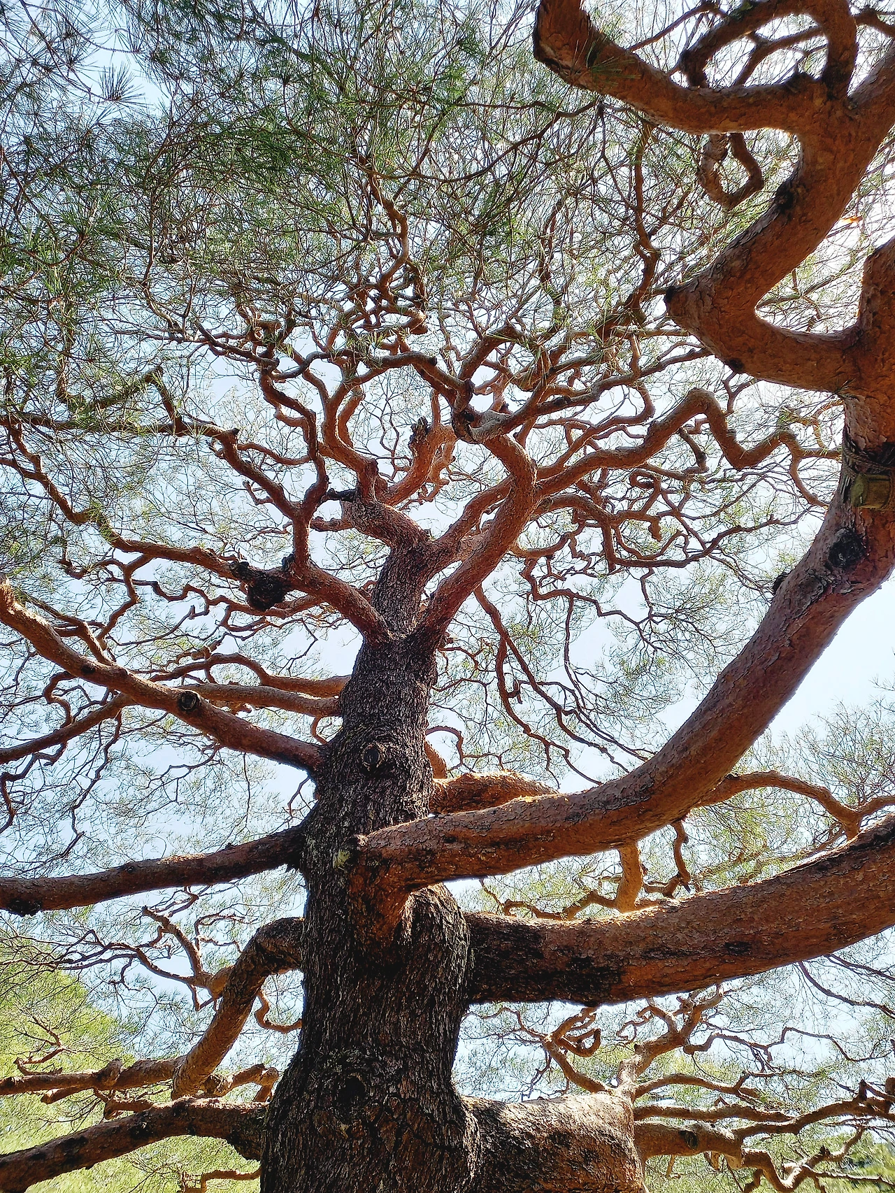 20230320_103328.jpg?type=w1600