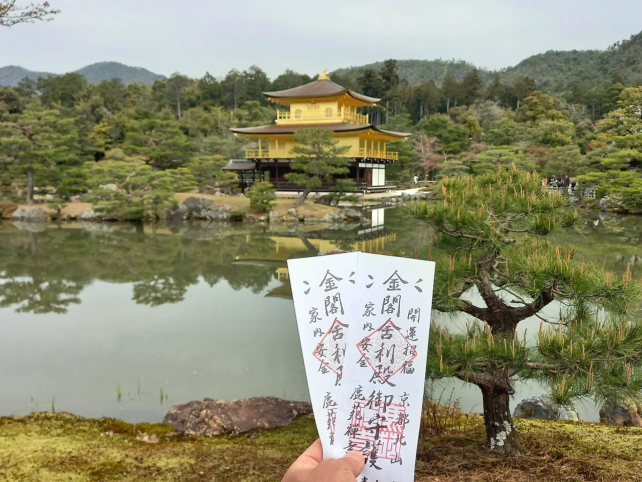 20230331_092549.jpg?type=w1600