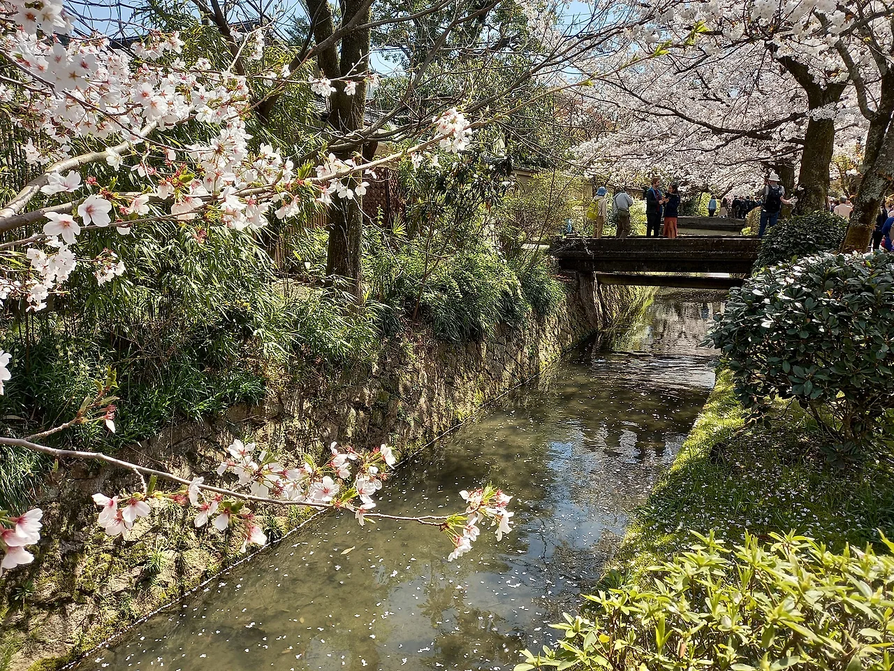 20230328_131908.jpg?type=w1600