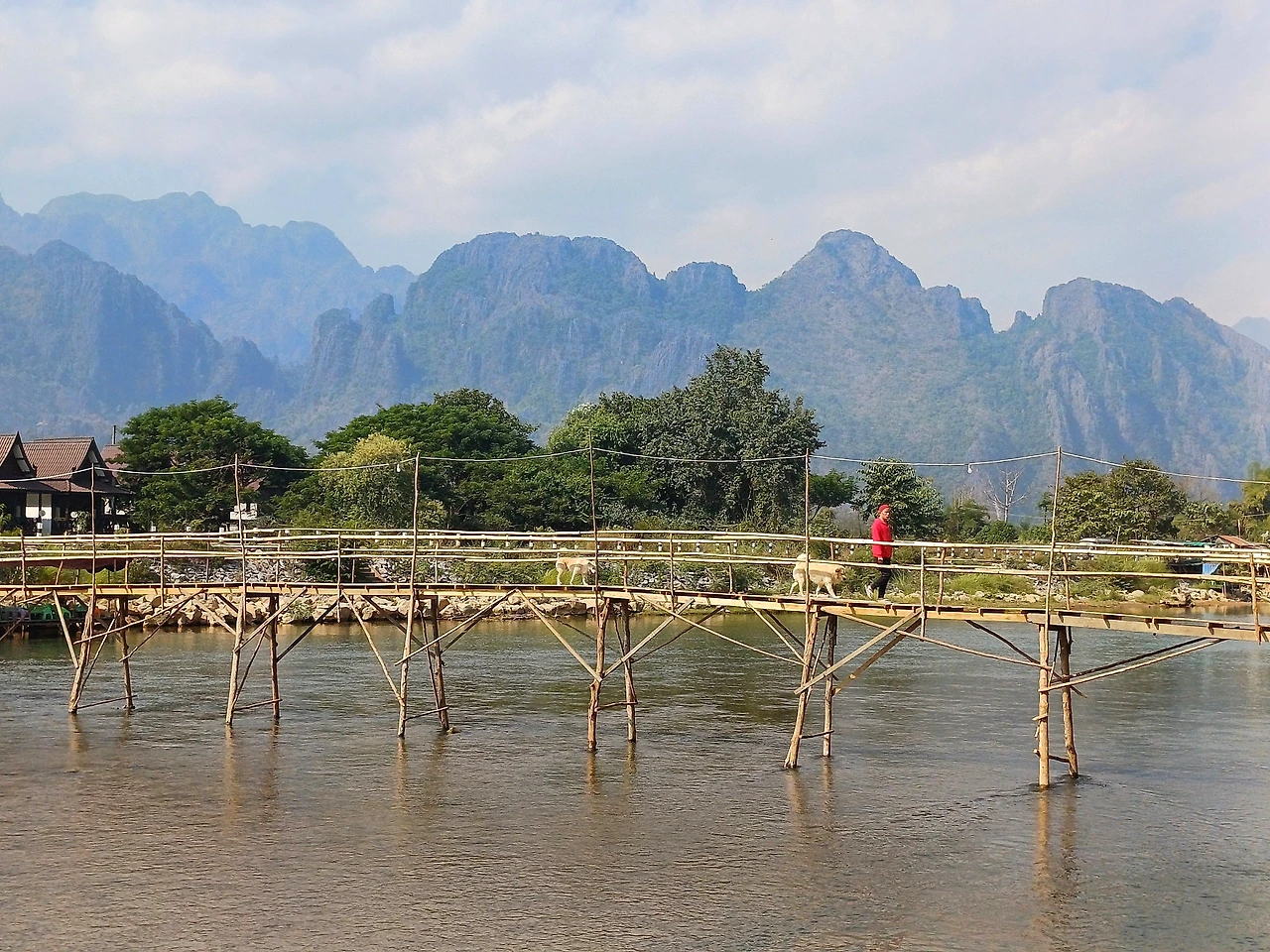 20250108_132107.jpg?type=w1600