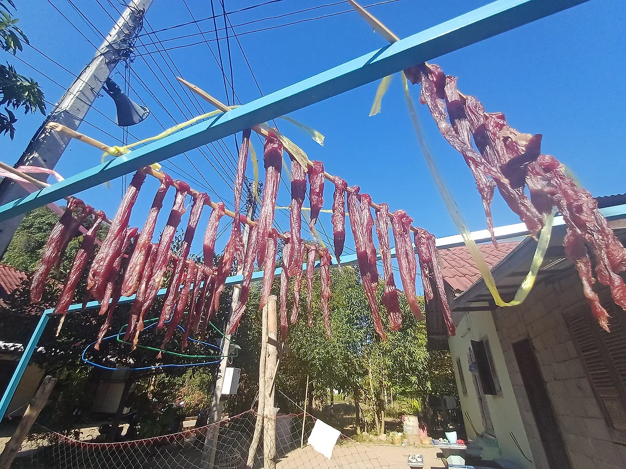 20241226_144714.jpg?type=w1600