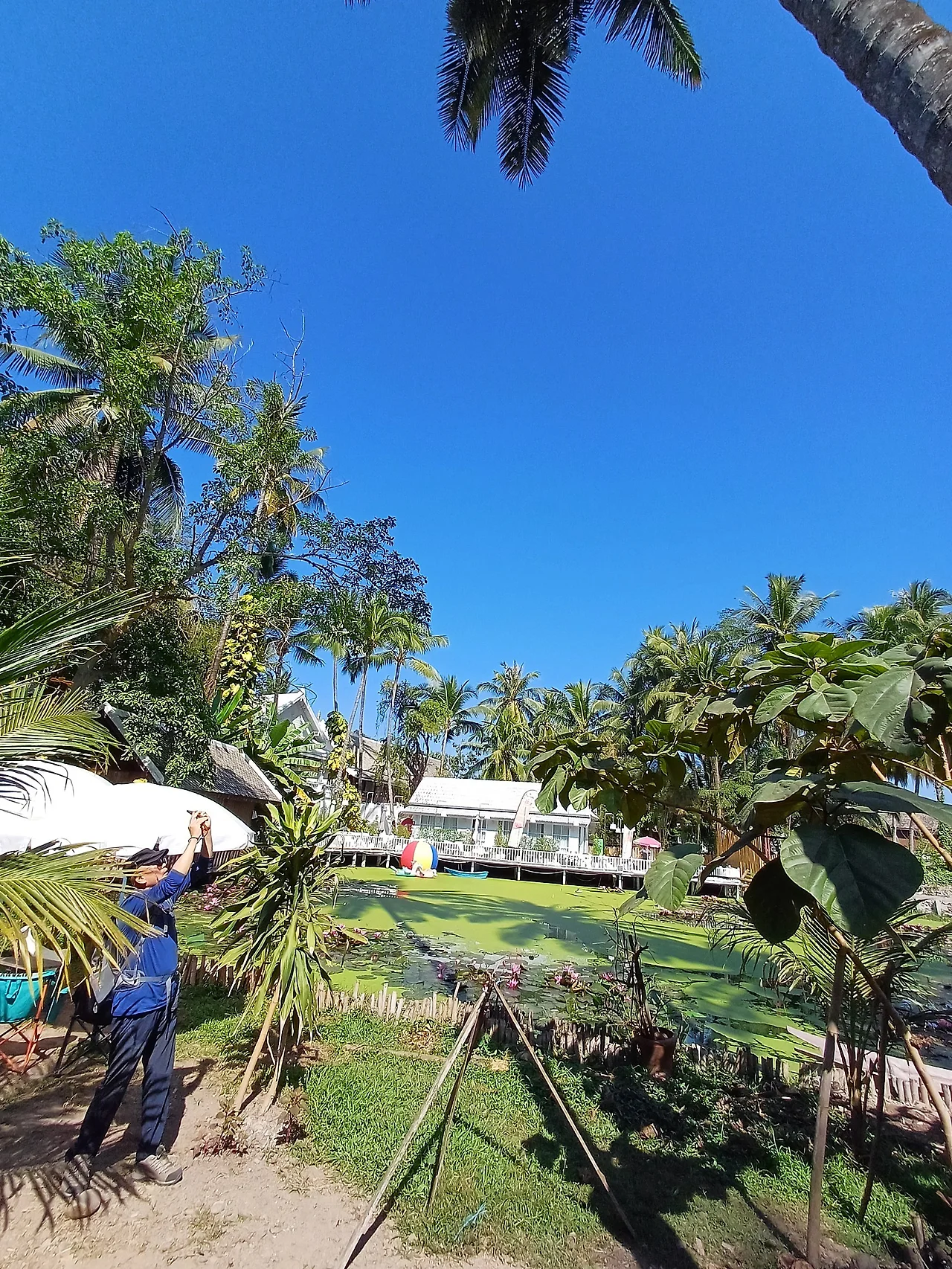 20241226_124729.jpg?type=w1600