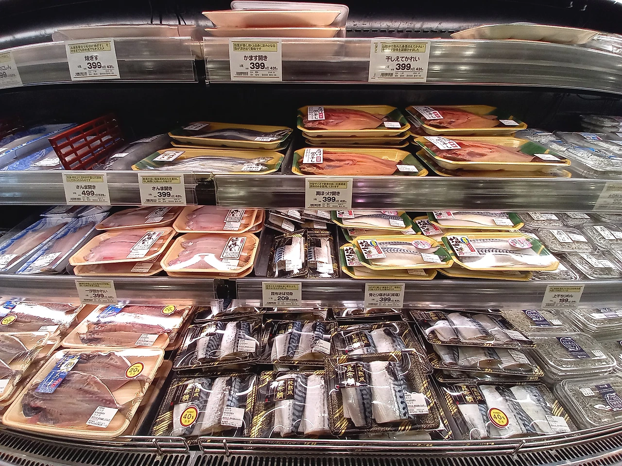 20230319_153659.jpg?type=w1600