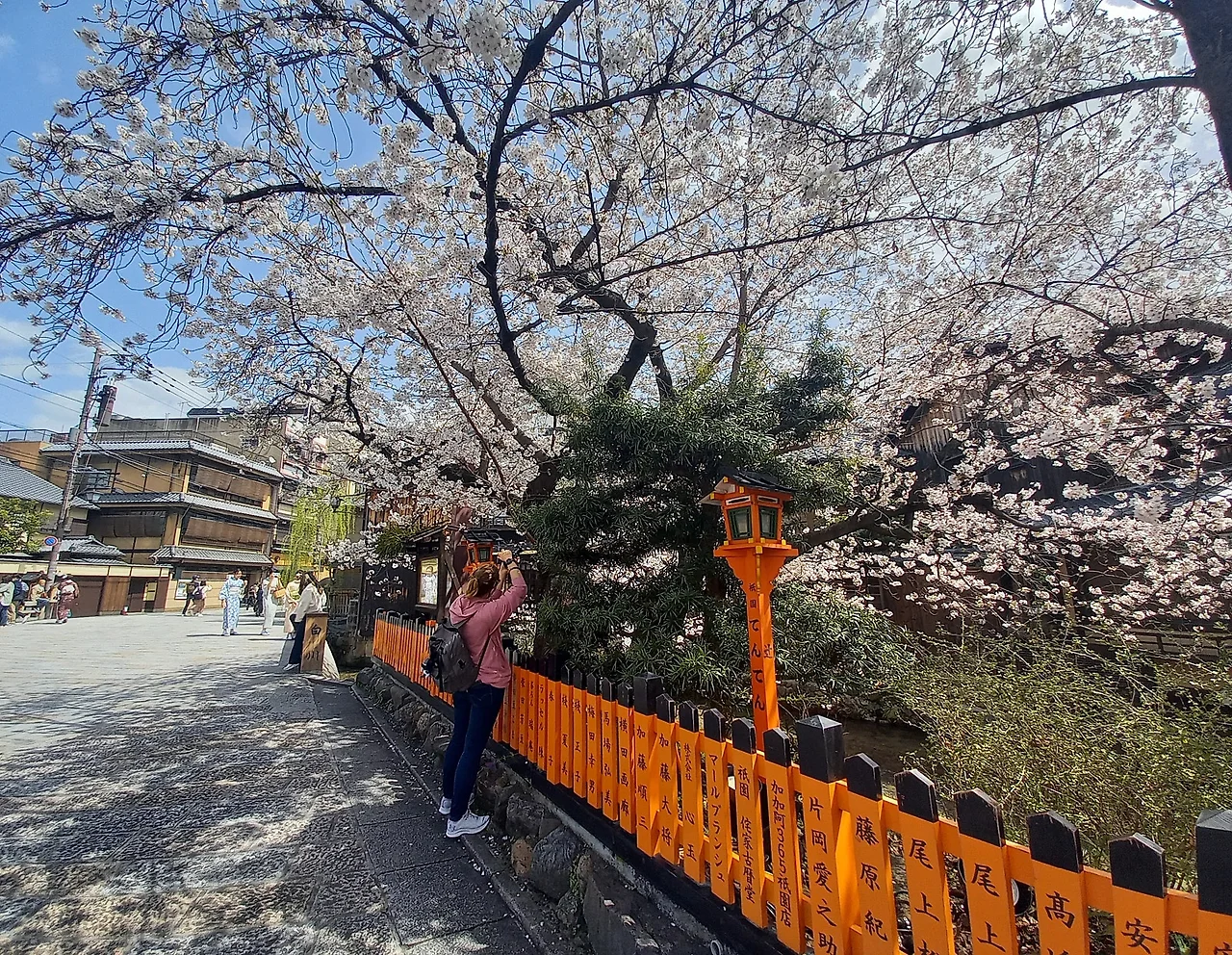 20230327_121931.jpg?type=w1600