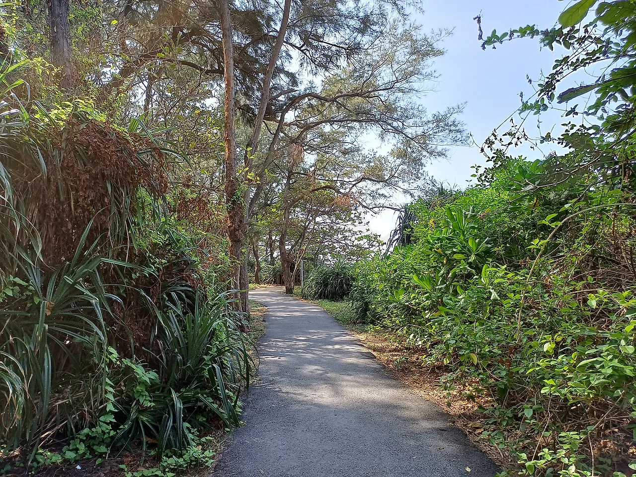 20231101_110441.jpg?type=w1600