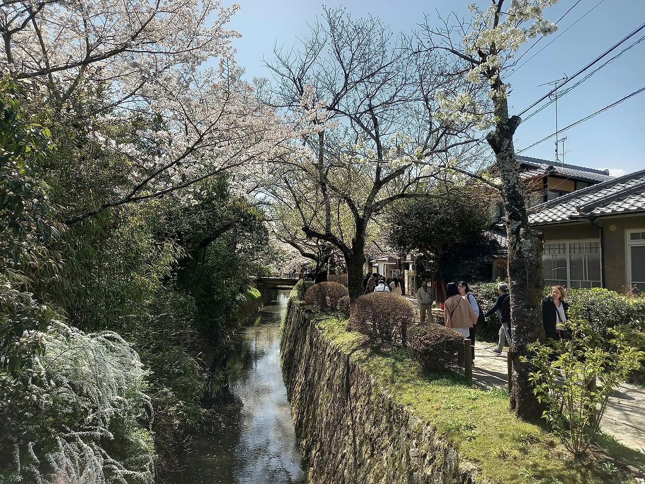 20230328_132658.jpg?type=w1600