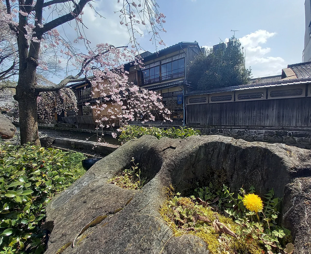 20230327_121217.jpg?type=w1600