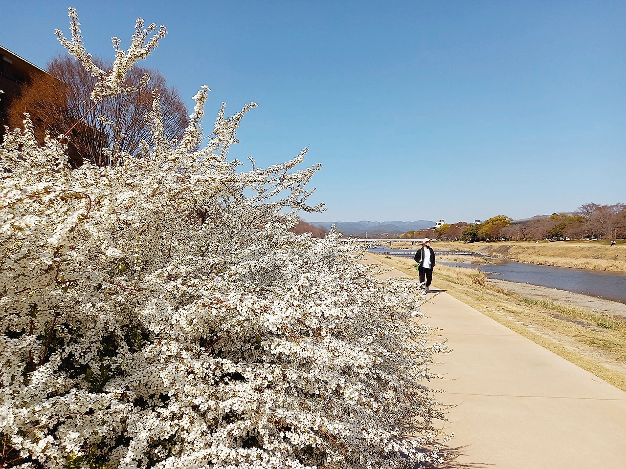 20230320_132250.jpg?type=w1600