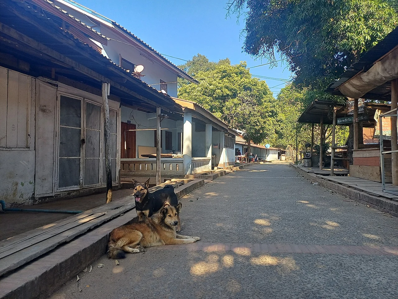 20241226_144924.jpg?type=w1600