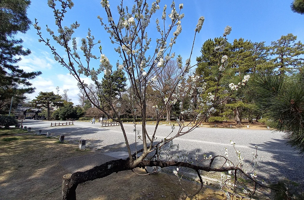 SE-0a61d131-78ba-4b59-90de-1e607e400406.jpg?type=w1600