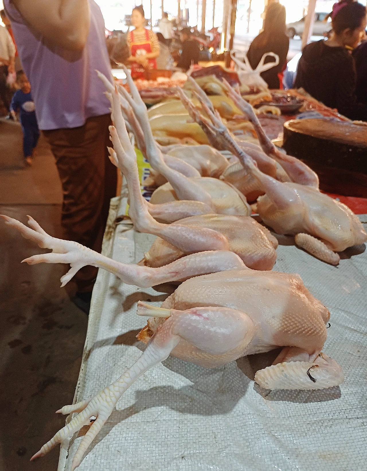 20241223_164502.jpg?type=w1600