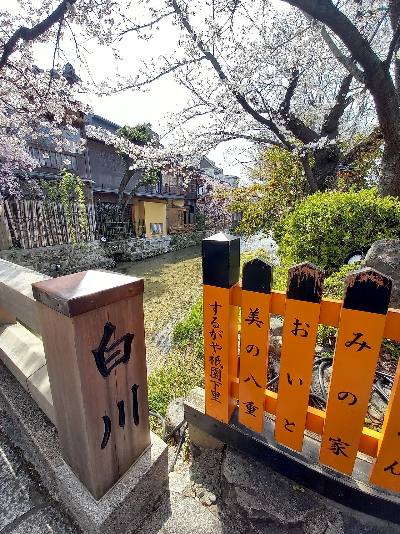 20230330_133650.jpg?type=w1600