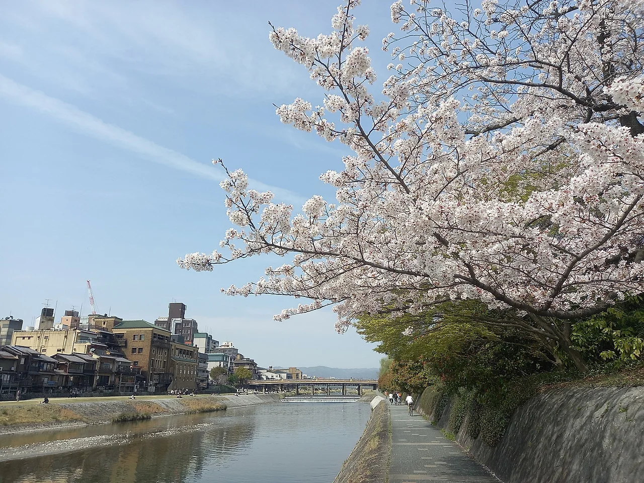 20230330_135121.jpg?type=w1600