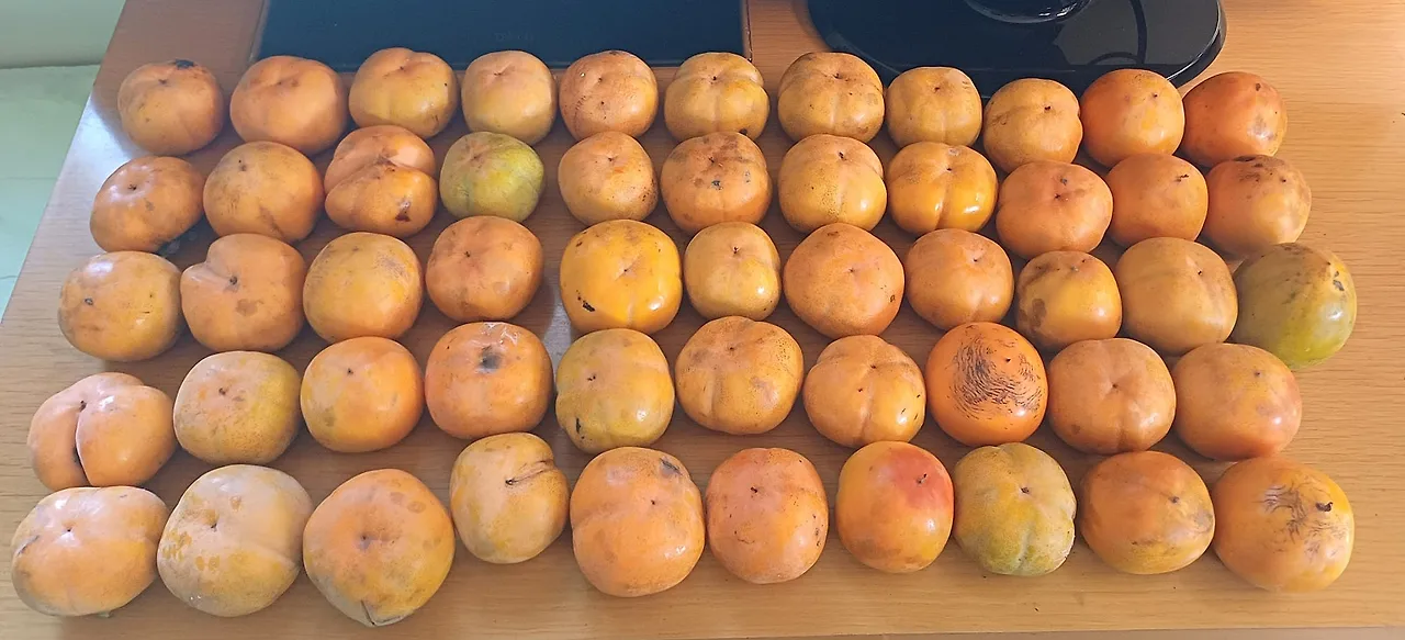 SE-62e565b9-15e3-4d53-82ea-8d86bb11bf01.jpg?type=w1600