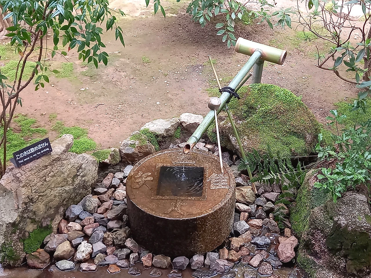 20230331_105318.jpg?type=w1600