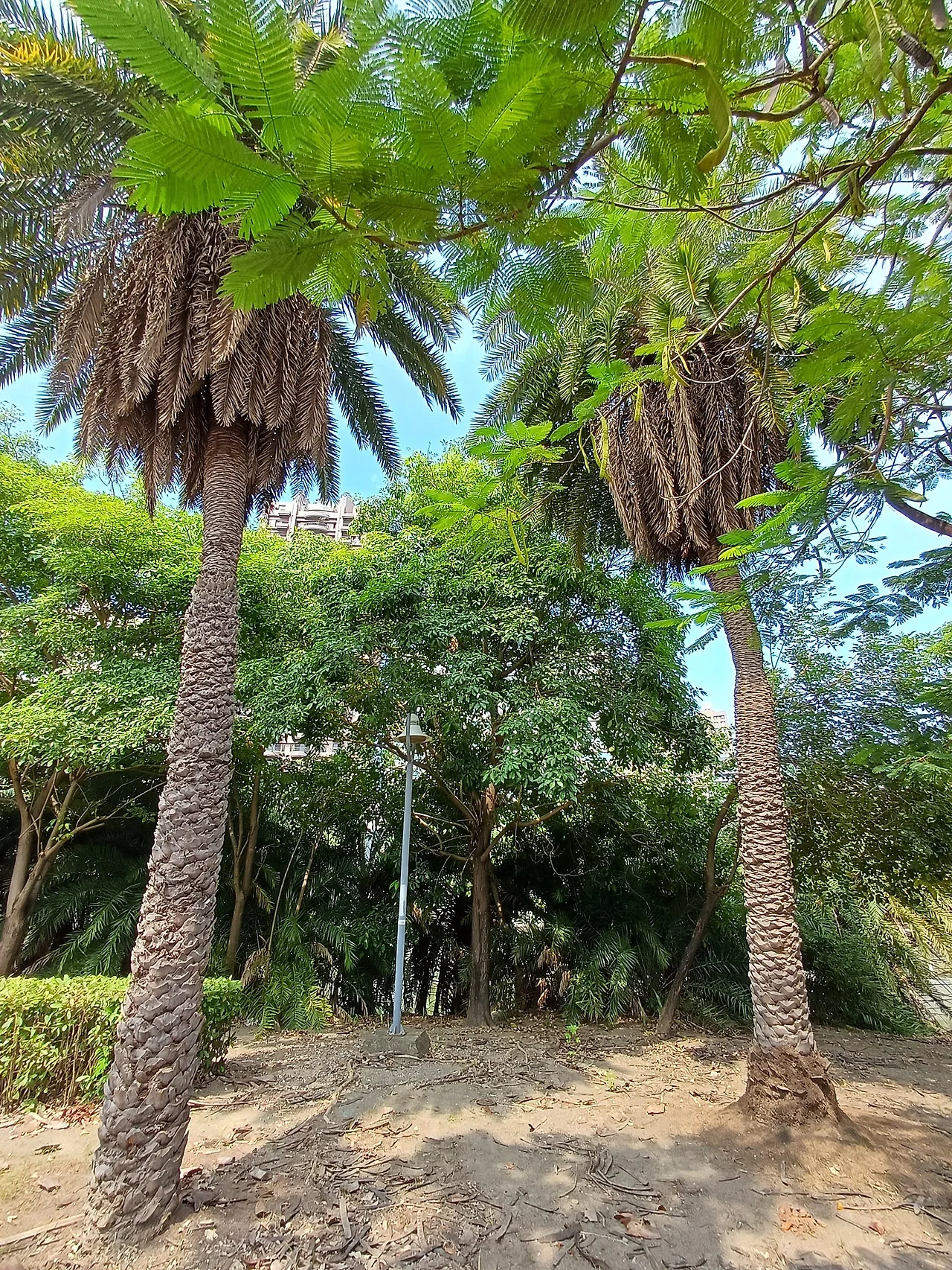 20231023_114525.jpg?type=w1600