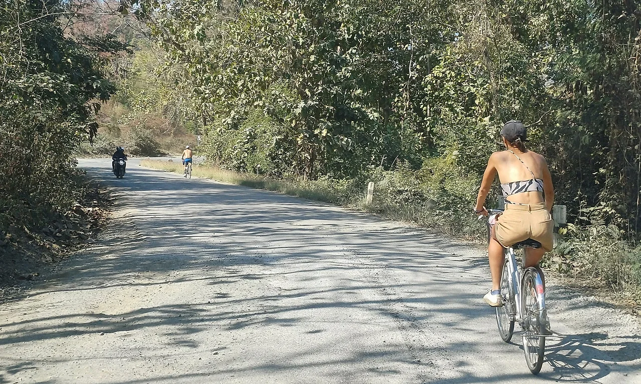 SE-ce836f3c-7497-491b-b7d2-d1bd64d39548.jpg?type=w1600