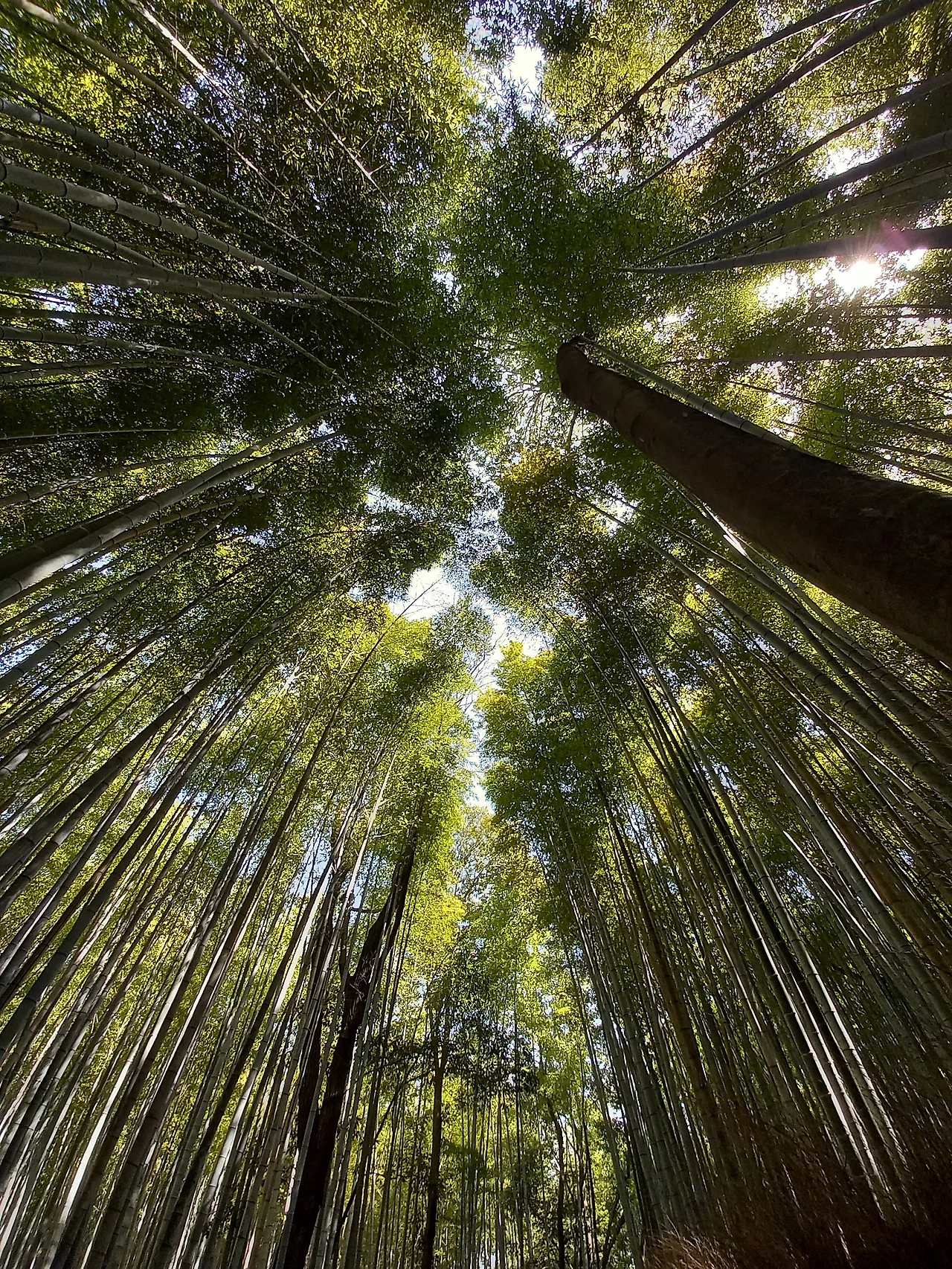 20230329_112752.jpg?type=w1600