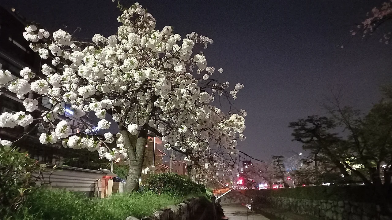 20230401_194651.jpg?type=w1600