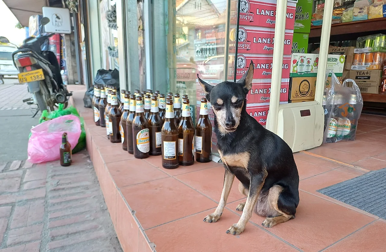 20241225_162714.jpg?type=w1600