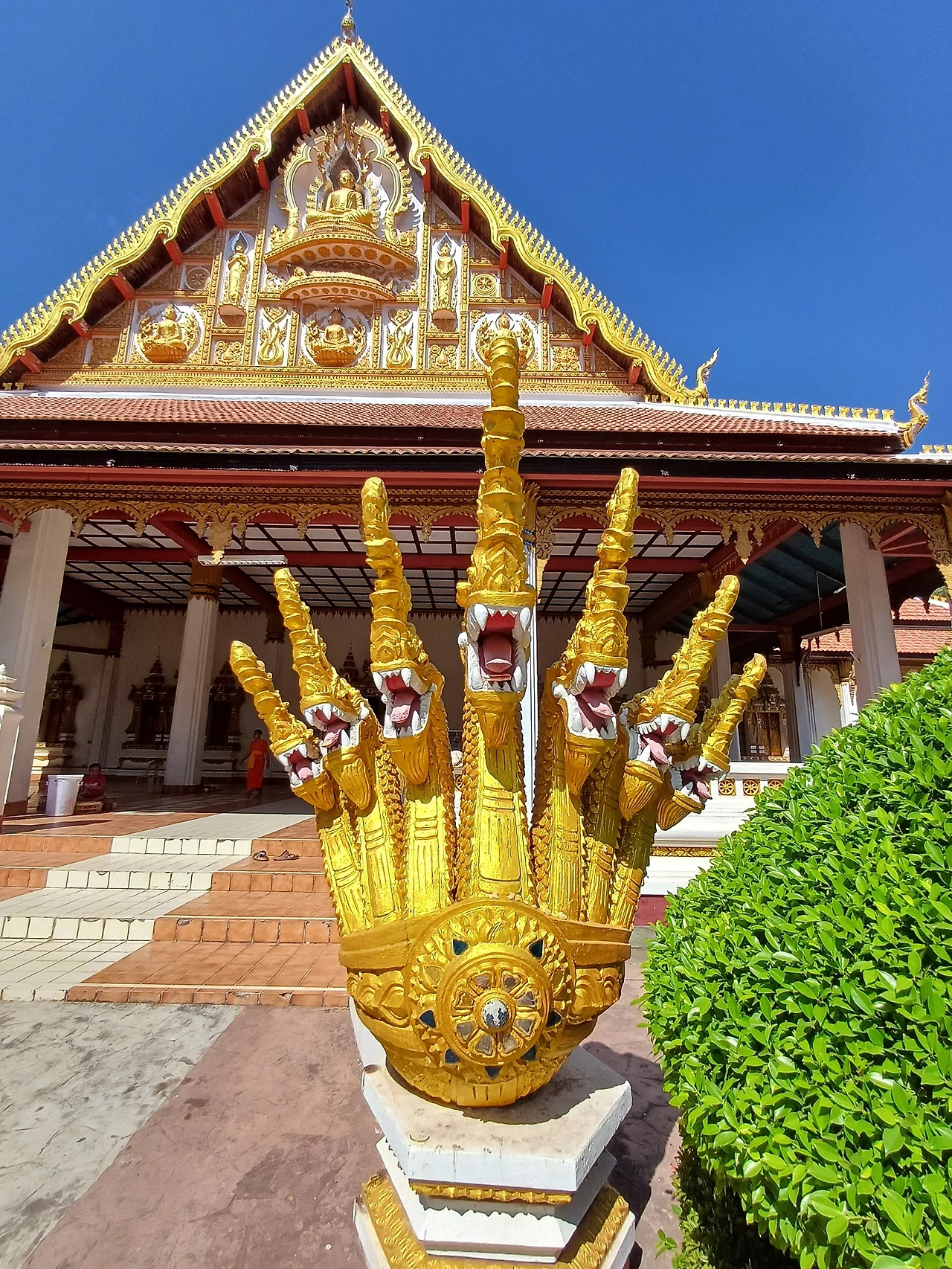 20250110_113954.jpg?type=w1600