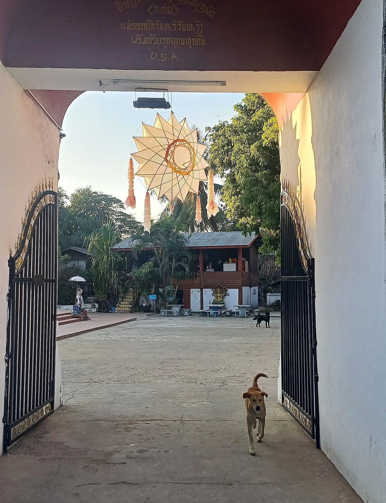 20241226_165258.jpg?type=w1600